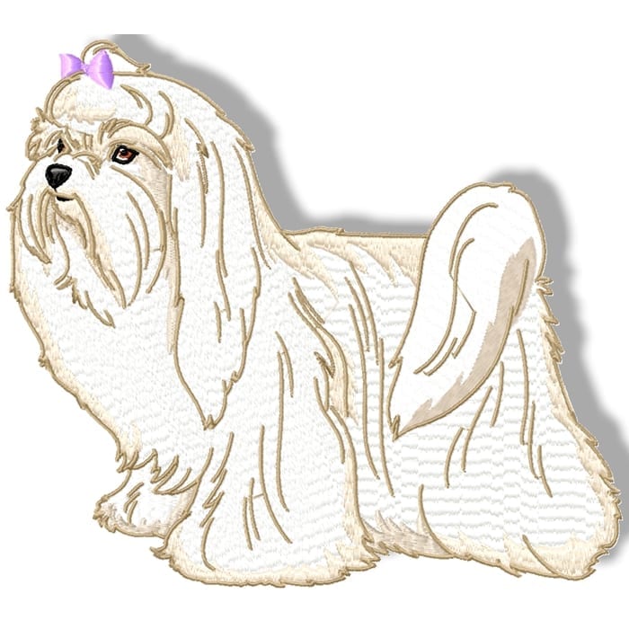 Maltese Terrier Realistic