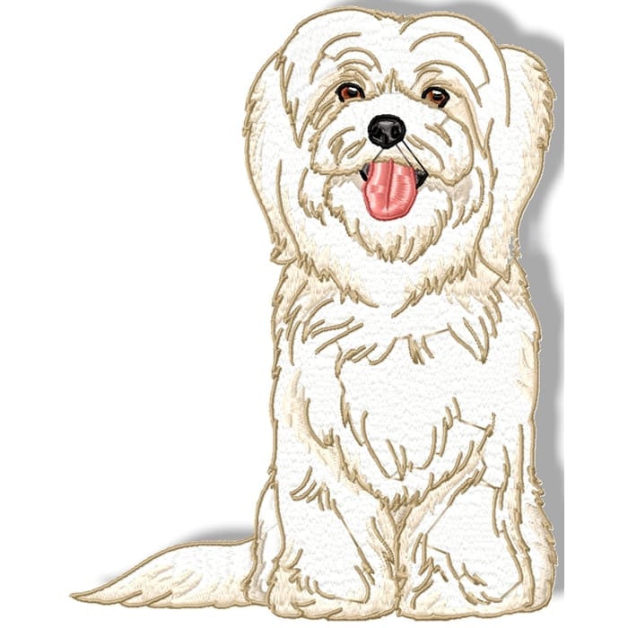 Maltese Terrier Realistic