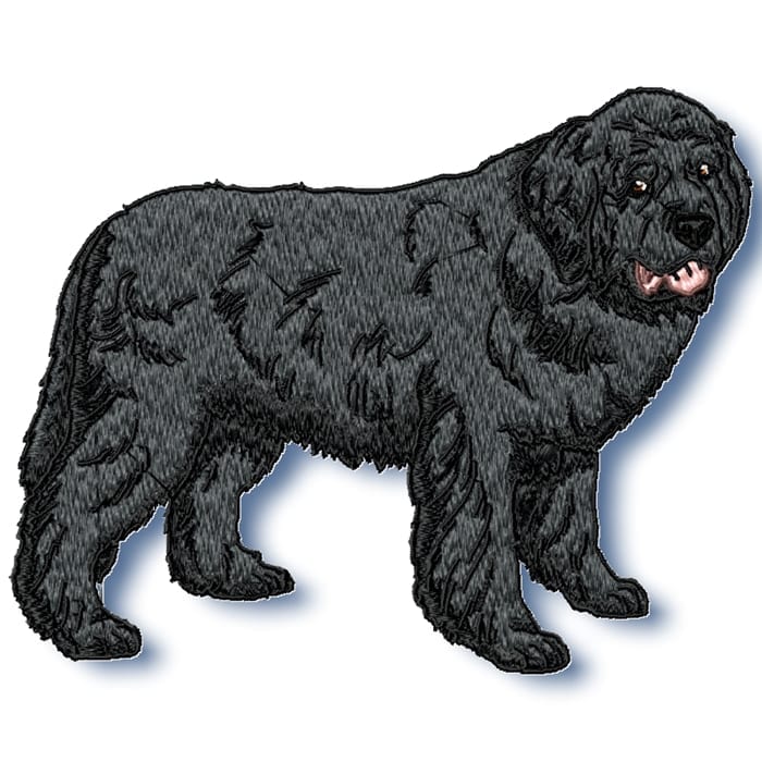 Newfoundland Realistic