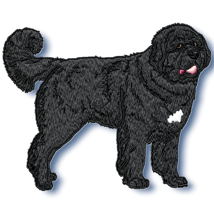 Newfoundland Realistic