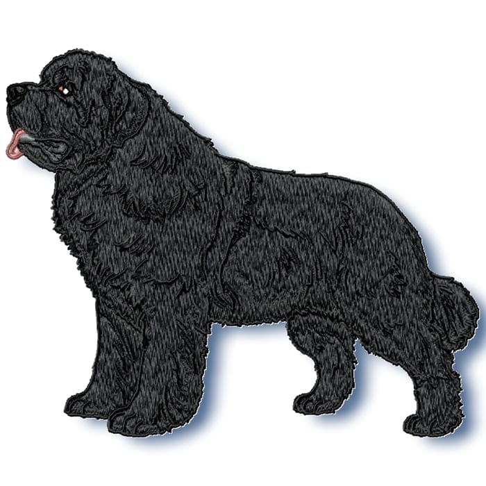 Newfoundland Realistic