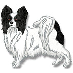 Realistic Papillion
