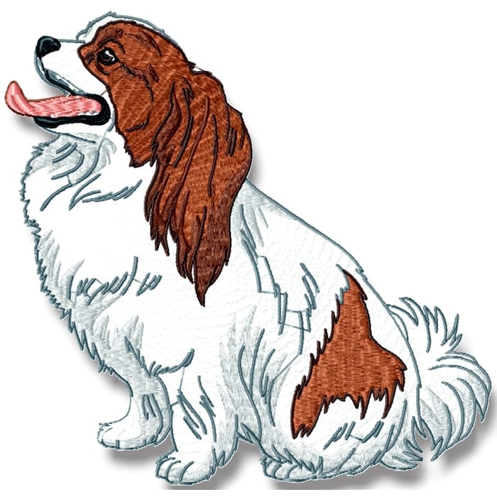 Realistic Papillion