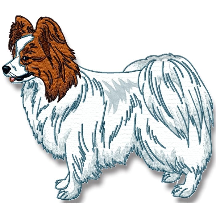 Papillon Realistic