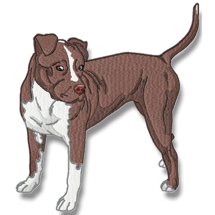 Realistic Pitbull