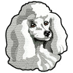 Realistic Poodle