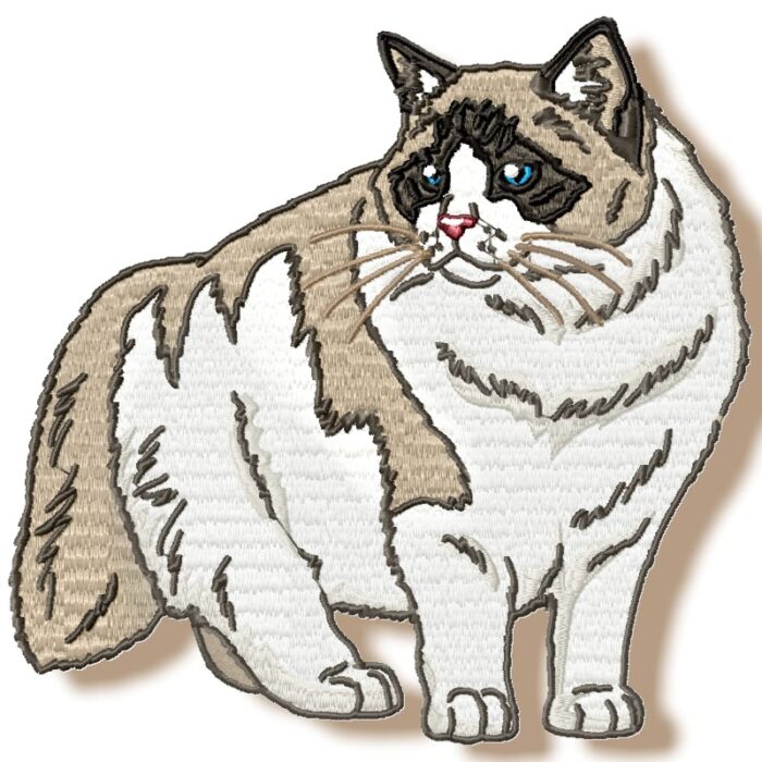 Realistic Ragdoll Cats