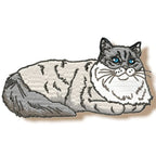 Realistic Ragdoll Cats
