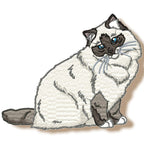Realistic Ragdoll Cats