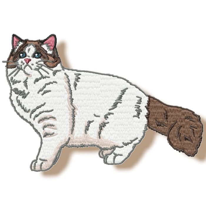 Realistic Ragdoll Cats
