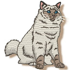 Realistic Ragdoll Cats