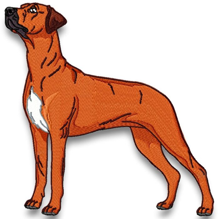 Rhodesian Ridgeback Realistic