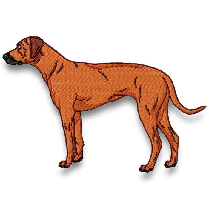 Rhodesian Ridgeback Realistic