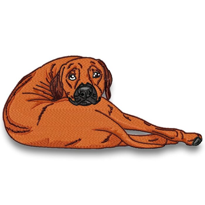 Rhodesian Ridgeback Realistic