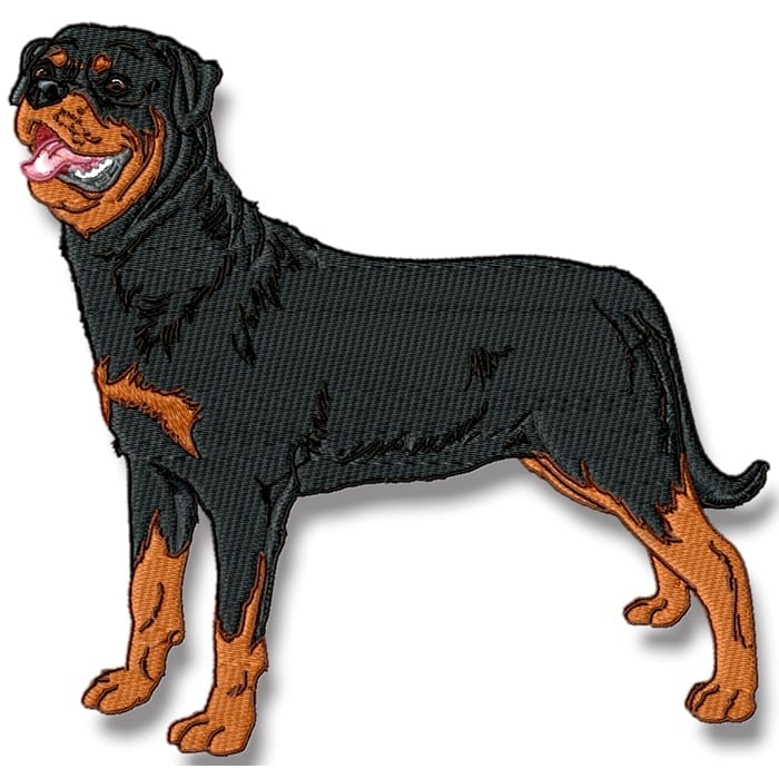 Rottweiler Realistic