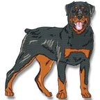 Rottweiler Realistic
