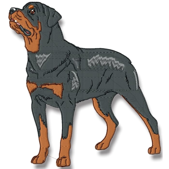 Rottweiler Realistic