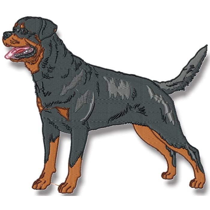 Realistic Rottweiler