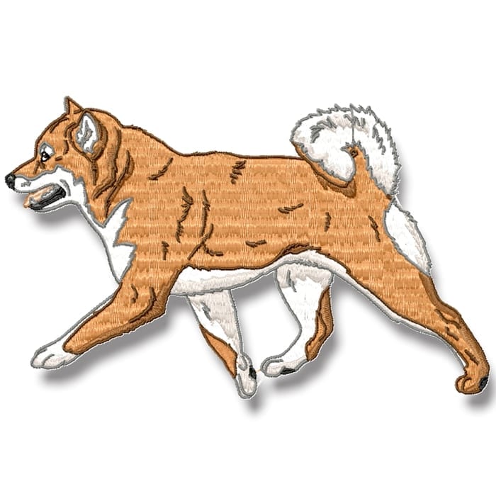 Shiba Inu Realistic