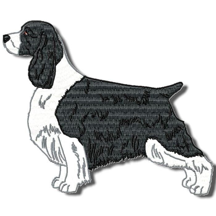 Springer Spaniel Realistic