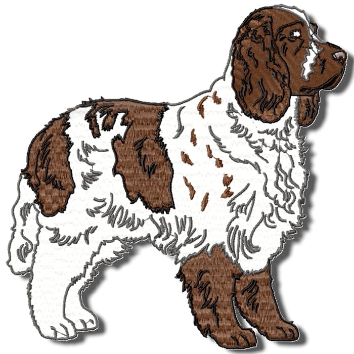 Springer Spaniel Realistic