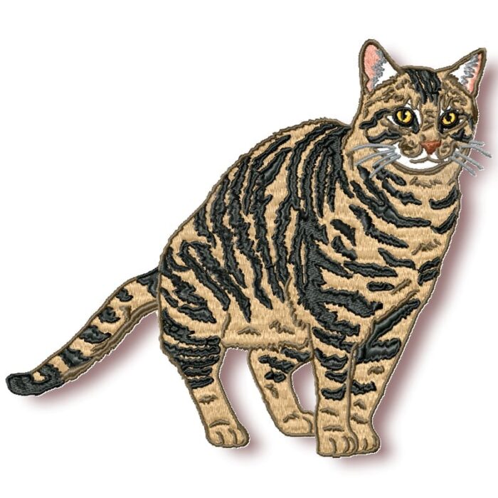 Realistic Tabby Cat
