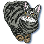 Realistic Tabby Cat