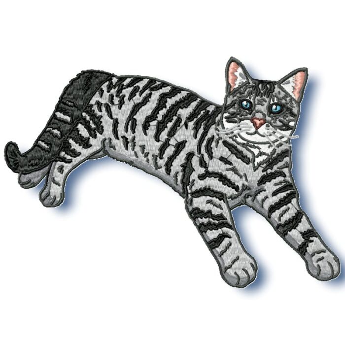 Realistic Tabby Cat
