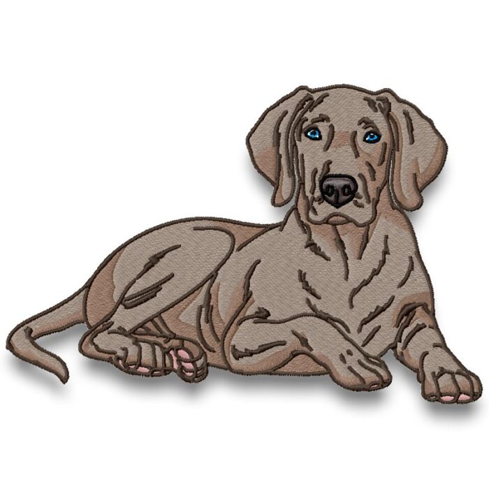 Weimaraner Realistic