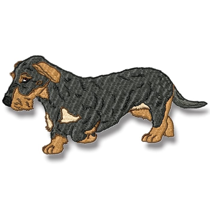 Wire-Haired Dachshund Realistic