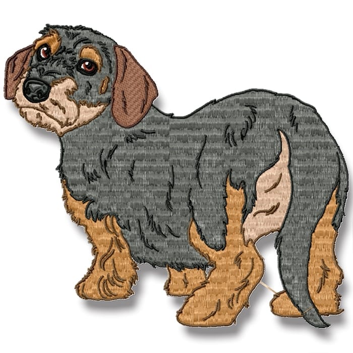 Wire-Haired Dachshund Realistic