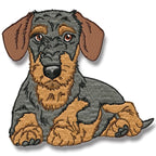 Realistic Wire-Haired Dachshund