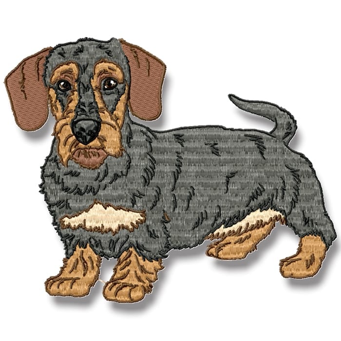 Wire-Haired Dachshund Realistic