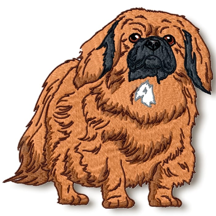 Pekingese Realistic