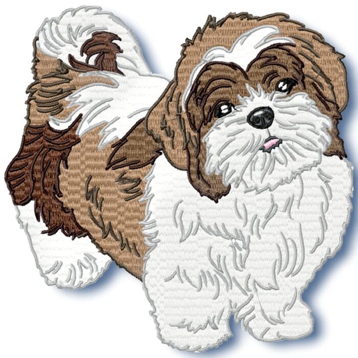 Realistic Shih Tzu
