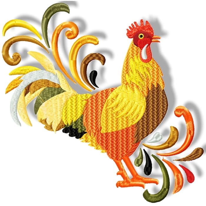 Roosters and Chickens