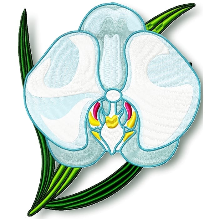 Single Flowers