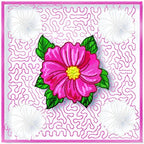 Single Flowers