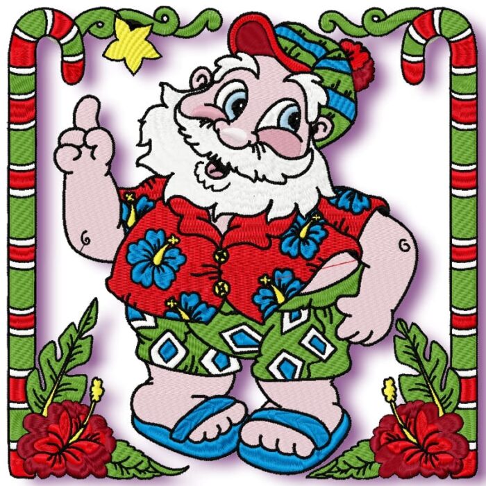 AUSTRALIAN South Pole Santa