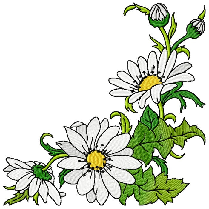 Spectacular Daisies