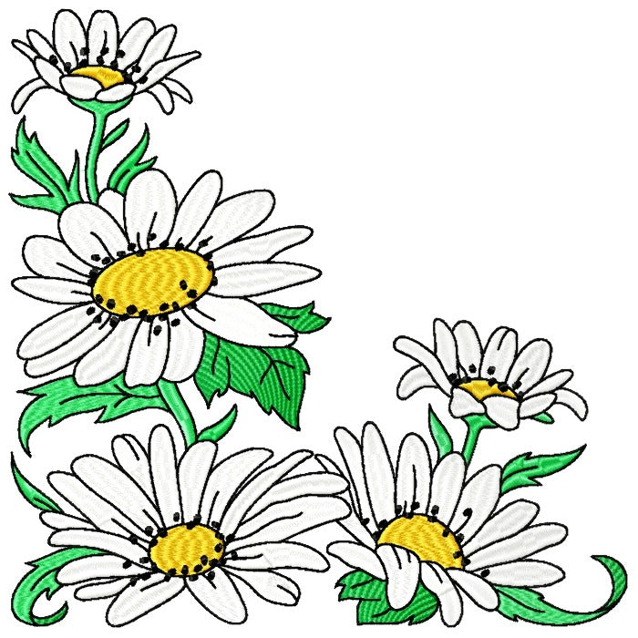 Spectacular Daisies