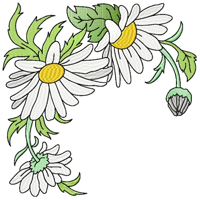 Spectacular Daisies