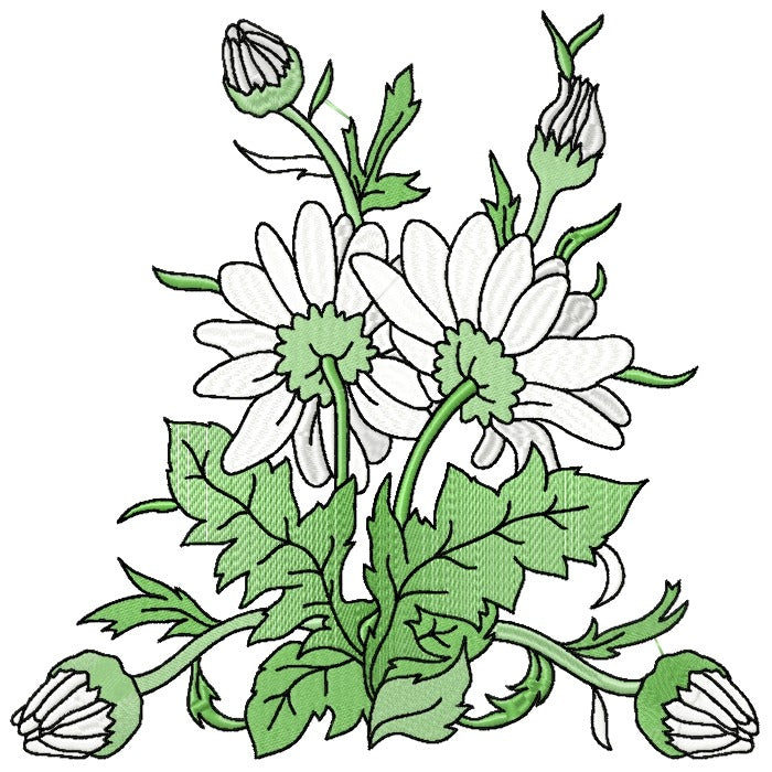 Spectacular Daisies
