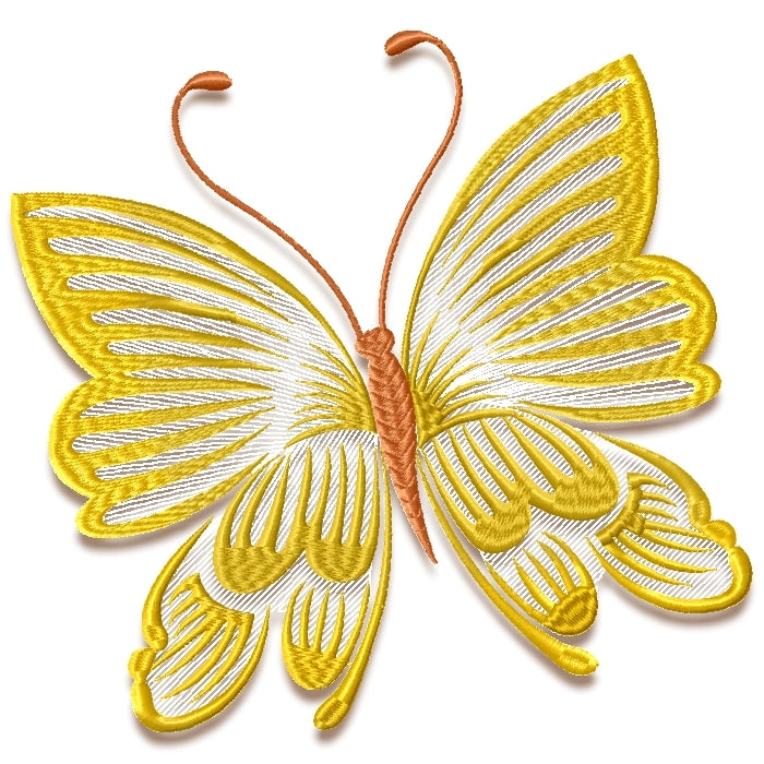 Striking Butterflies