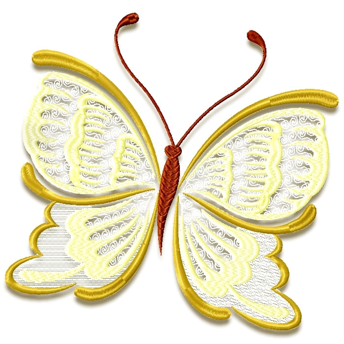 Striking Butterflies