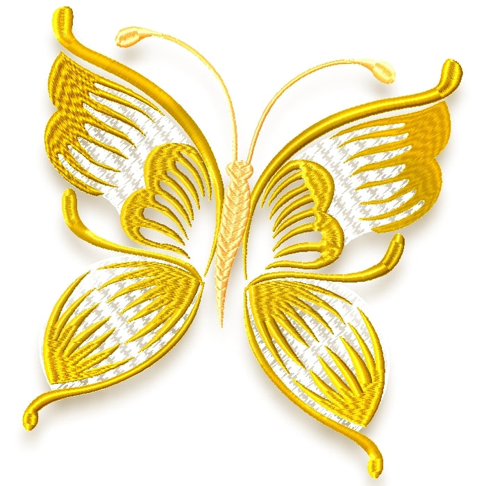 Striking Butterflies