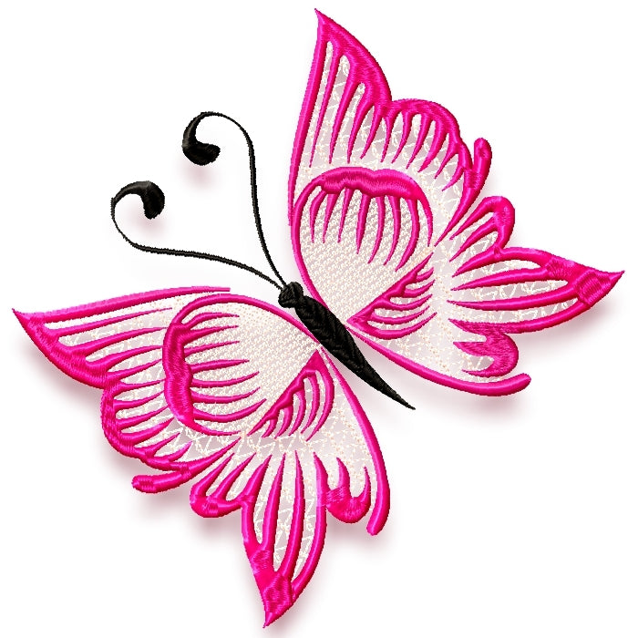 Striking Butterflies