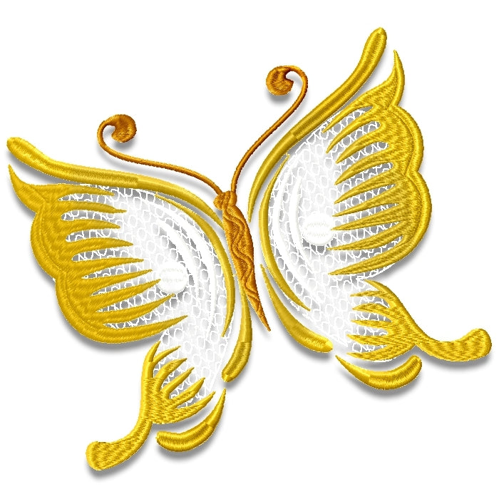 Striking Butterflies