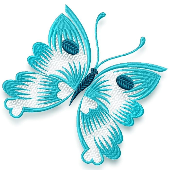 Striking Butterflies