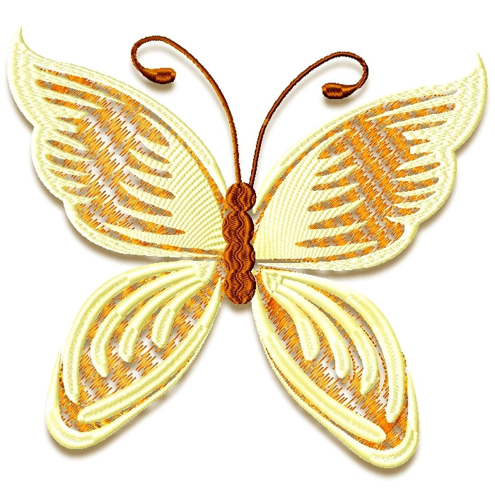 Striking Butterflies